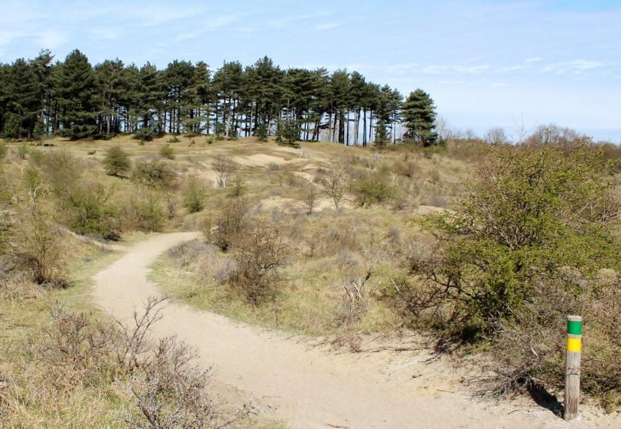 Beach&dunes * Zandvoort