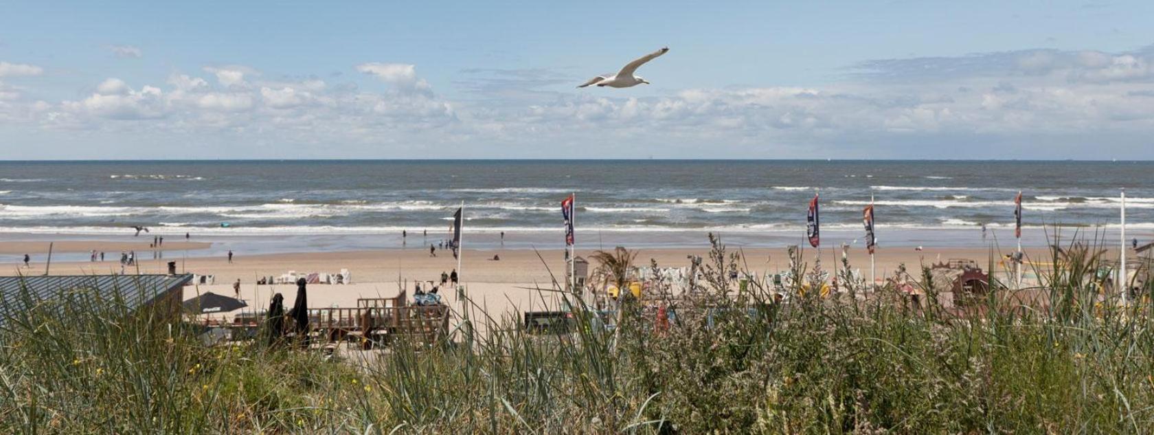 Beach&dunes Apartamento